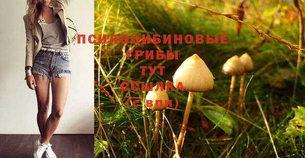 a pvp Алексин