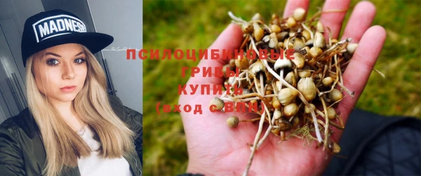 a pvp Алексин