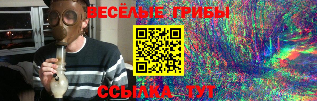 Галлюциногенные грибы Cubensis  Псилоцибиновые грибы мухоморы  Вход с VPN  Сочи 