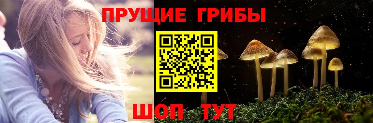 Псилоцибиновые грибы Psilocybe Сочи