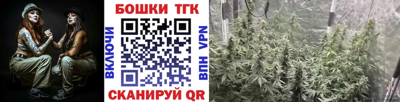 Бошки марихуана сатива  как найти   Сочи 